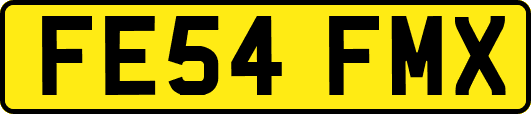FE54FMX