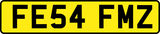 FE54FMZ