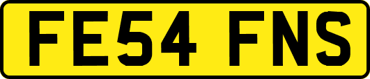 FE54FNS