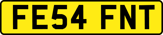 FE54FNT
