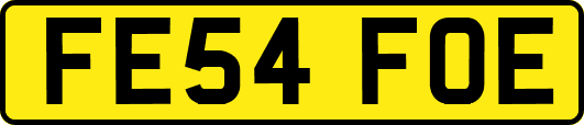 FE54FOE