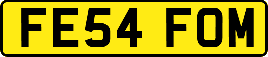 FE54FOM