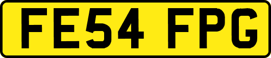 FE54FPG
