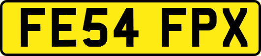 FE54FPX