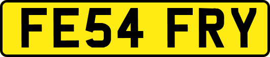 FE54FRY