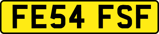 FE54FSF