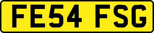 FE54FSG