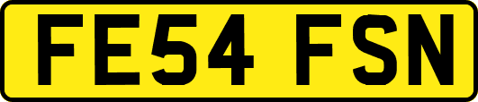 FE54FSN