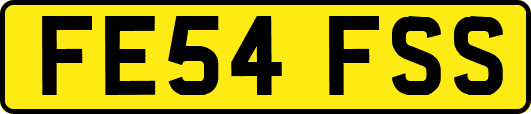 FE54FSS