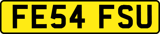 FE54FSU