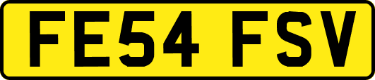 FE54FSV