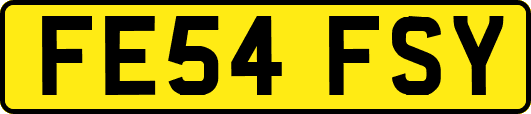 FE54FSY