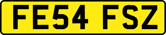 FE54FSZ