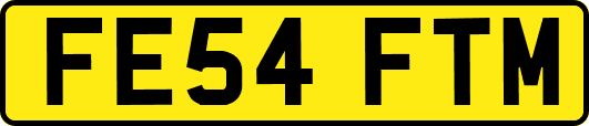 FE54FTM