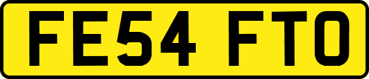 FE54FTO