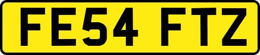FE54FTZ