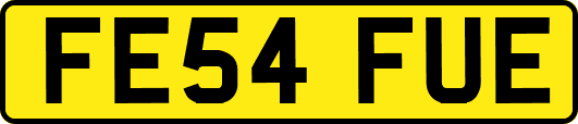 FE54FUE
