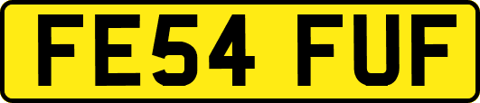 FE54FUF