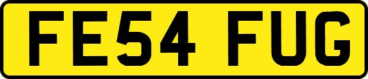 FE54FUG