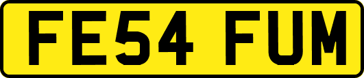 FE54FUM
