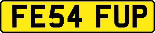 FE54FUP