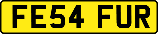 FE54FUR