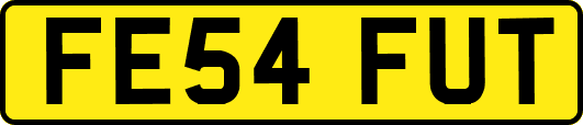 FE54FUT