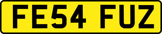 FE54FUZ