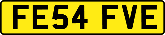 FE54FVE