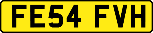 FE54FVH