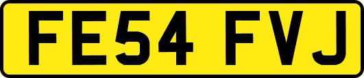 FE54FVJ
