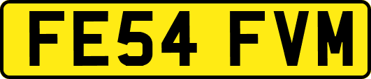 FE54FVM