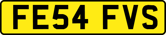 FE54FVS