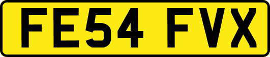 FE54FVX