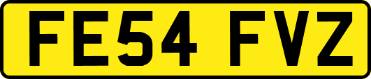 FE54FVZ
