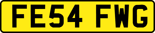 FE54FWG