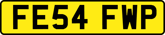 FE54FWP