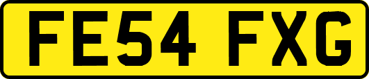 FE54FXG