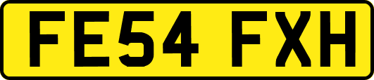 FE54FXH