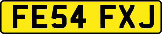 FE54FXJ