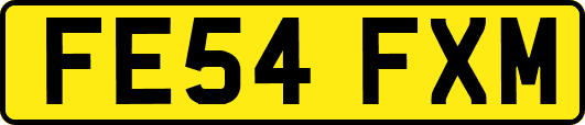 FE54FXM
