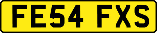FE54FXS