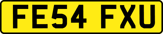 FE54FXU