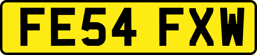 FE54FXW