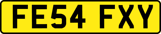 FE54FXY