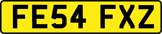FE54FXZ