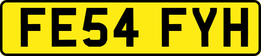 FE54FYH