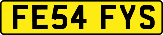 FE54FYS