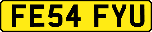 FE54FYU