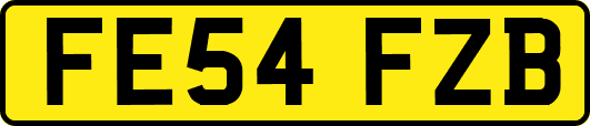 FE54FZB
